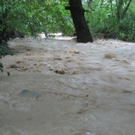 Ruggbach1.jpg