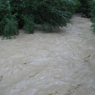 Ruggbach10.jpg