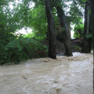Ruggbach2.jpg