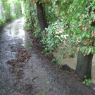 Ruggbach3.jpg