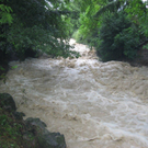 Ruggbach4.jpg