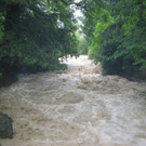 Ruggbach5.jpg