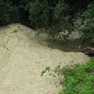 Ruggbach8.jpg