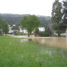 Hochwasser Lochau L 190 _7__jpg-1280224047