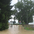 Hochwasser Lochau L 190 _8__jpg-1280224062