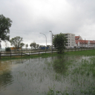 Hochwasser Lochau L 190 _9__jpg-1280224073