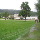 Hochwasser Lochau L 190 _10__jpg-1280224088