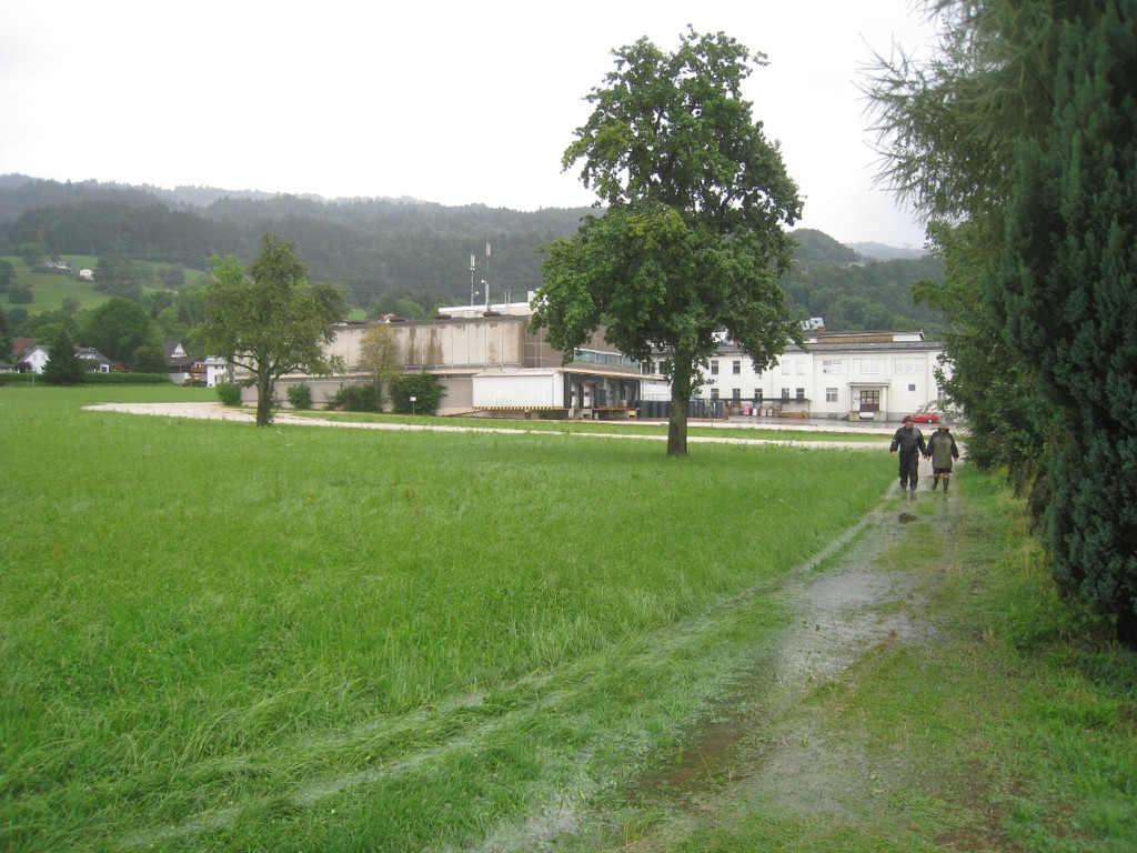 Hochwasser Lochau L 190 _10__jpg-1280224088
