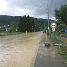 Hochwasser Lochau L 190 _15__jpg-1280224152