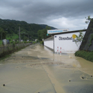 Hochwasser Lochau L 190 _24__jpg-1280224273