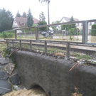 Hochwasser Lochau L 190 _29__jpg-1280224339