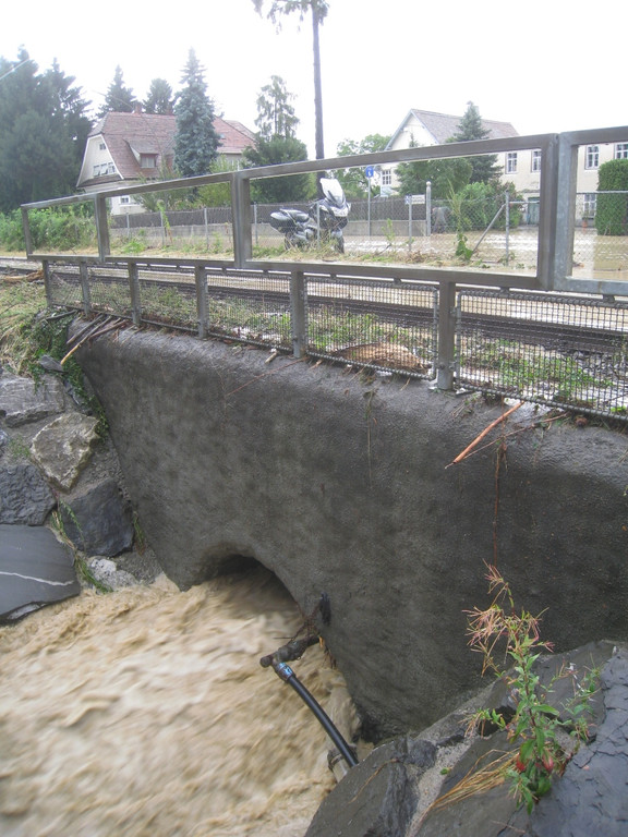 Hochwasser Lochau L 190 _29__jpg-1280224339