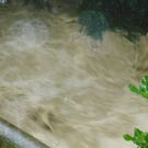 __berschwemmung 27_07_2010 018.jpg