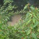 __berschwemmung 27_07_2010 012.jpg