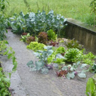 __berschwemmung 27_07_2010 038.jpg