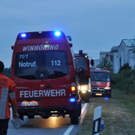 26072010jungstierb588fibaktivnews_20_12_.jpg