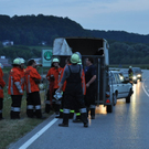 26072010jungstierb588fibaktivnews_20_13_.jpg