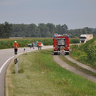 26072010jungstierb588fibaktivnews_20_3_.jpg