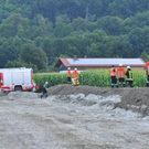 26072010jungstierb588fibaktivnews_20_5_.jpg