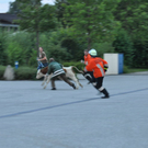 26072010jungstierb588fibaktivnews_20_8_.jpg