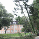 normal_27072010baumnonntaltaaktivnews_03.jpg