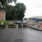 normal_27072010baumnonntaltaaktivnews_19.jpg
