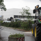 normal_27072010baumnonntaltaaktivnews_24.jpg
