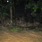 Hochwasser 009.jpg