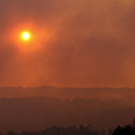Waldbrand in Portugal