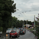 IMG_1731.JPG