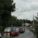 IMG_1732.JPG