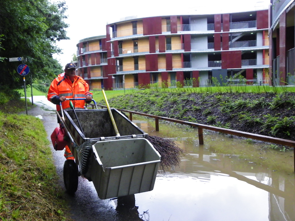 104_5811_jpg-1280243921