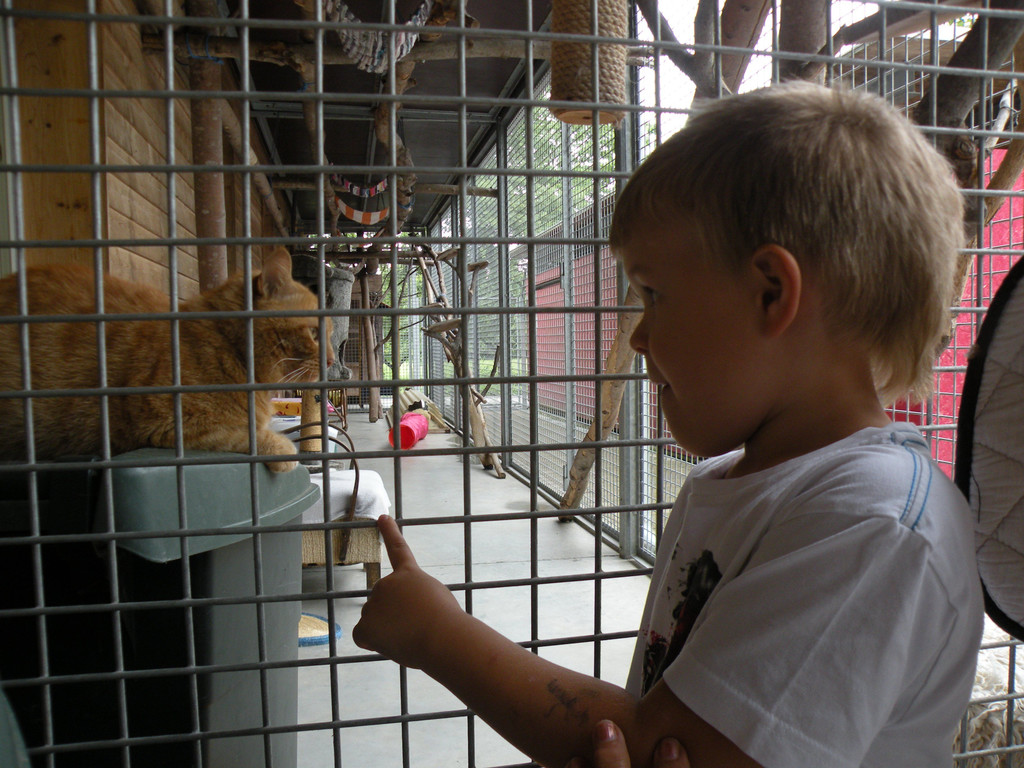 DSCN1317.JPG