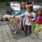 DSCN1329.JPG