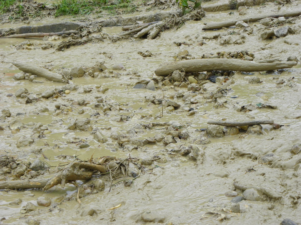 104_5984_jpg-1280246170