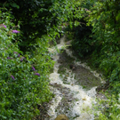 104_5991_jpg-1280247338