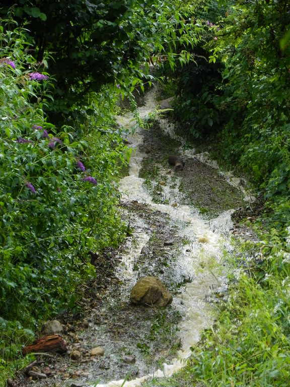 104_5991_jpg-1280247338