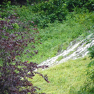 104_5977_jpg-1280247484
