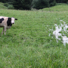 Unwetter über Buch - Juli 2010 