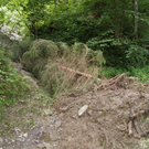 DSC08031_JPG-1280252908