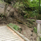 DSC08037_JPG-1280252938