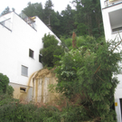Aufraeumarbeiten Lochau 2010 _13__jpg-1280254476