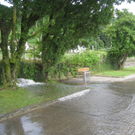 Aufraeumarbeiten Lochau 2010 _27__jpg-1280254690