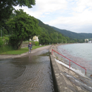 Aufraeumarbeiten Lochau 2010 _28__jpg-1280254703