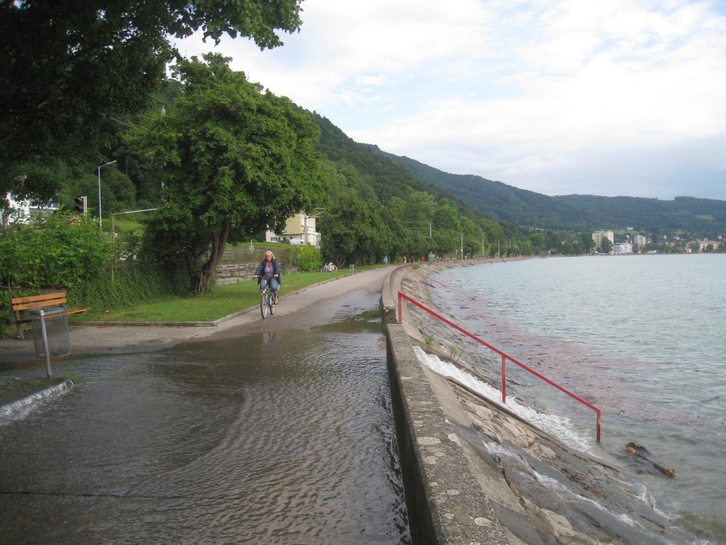 Aufraeumarbeiten Lochau 2010 _28__jpg-1280254703