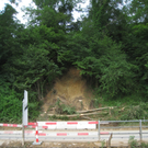 Aufraeumarbeiten Lochau 2010 _29__jpg-1280254722