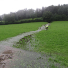 IMG_8896_JPG-1280258308