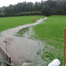 IMG_8922_JPG-1280258359