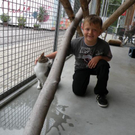 DSCN1320.JPG