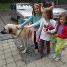 DSCN1329.JPG